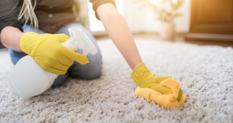 Imagem da Como remover manchas no carpete e tapetes de hotel? Dicas para causar boas impressões
